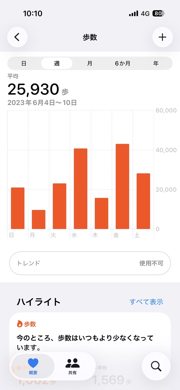 旅行中の歩数